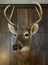 Vtg whitetail deer for sale  New Bern
