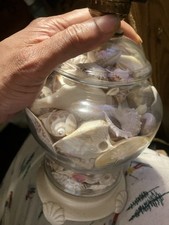 Works vintage seashell for sale  Philadelphia