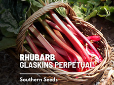 Rhubarb glaskins perpetual for sale  Frisco