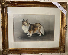 Sheltie dog original for sale  SHEFFIELD