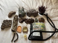 Reptile snake lizard for sale Reptile snake lizard for sale  HADDINGTON