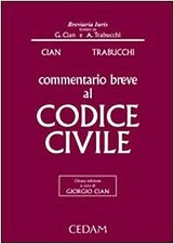 Commentario breve codice usato  Italia