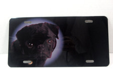 Black pug dog for sale  Hinesville