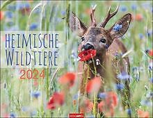 Heimische wildtiere kalender gebraucht kaufen  Berlin