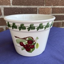Portmeirion pottery stoke gebraucht kaufen  Peine