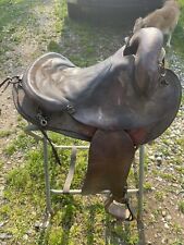 Endurance saddle gaited for sale  Albion