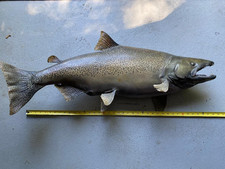 Vintage taxidermy fish for sale  Bridgeport