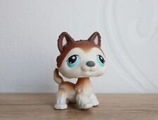 Littlest petshop husky d'occasion  Talmont-Saint-Hilaire