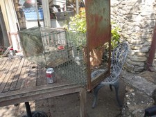 Large humane live for sale  TROWBRIDGE