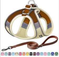 Dog harness leash for sale  Charlotte