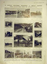 Vecchia stampa antica usato  Spedire a Italy