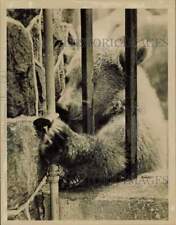 Press photo kodiak for sale  Memphis