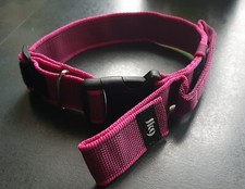 Hundehalsband julius k9 gebraucht kaufen Hundehalsband julius k9 gebraucht kaufen  Pegnitz