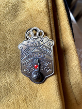 Brass masonic badge for sale  MONTGOMERY