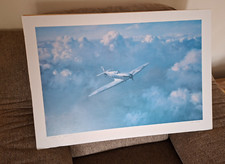 Flight freedom roy for sale  WIDNES