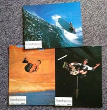 Boarding zone surf d'occasion  Carcassonne