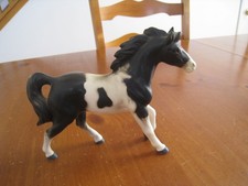 Beautiful black white for sale  Corona