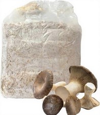 Balletta per produzione usato Balletta per produzione usato  Bisceglie