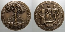 Medaglia credito romagnolo usato  Sermide e Felonica
