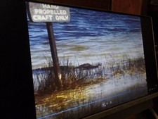 BAHAMAS JOGO DE PRAIA PEIXE MENINAS JACARÉ, CÓLON MI 8MM CASA Filme Carretel R638 comprar usado BAHAMAS JOGO DE PRAIA PEIXE MENINAS JACARÉ, CÓLON MI 8MM CASA Filme Carretel R638 comprar usado  Enviando para Brazil