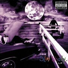 The slim shady gebraucht kaufen  Berlin