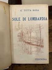 Sole lombardia usato  Italia