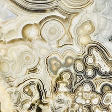 Bolha de gelo mexicana renda louca laje de ágata orbicular prata preto prata branco comprar usado  Enviando para Brazil