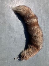 Fuchsschwanz 47cm fuchs gebraucht kaufen  Naunhof