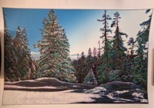 Marcus uzilevsky snow for sale  Kansas City