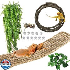 Kathson bearded dragon for sale  San Jose