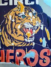 Mimmo rotella tigre usato  Riccione