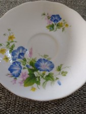 Single saucer bone for sale  SOUTHAMPTON