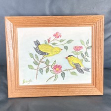 American goldfinch bird for sale  Tavares