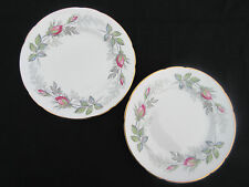 Tea plates paragon for sale  WELLS