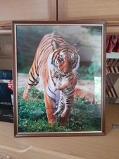 Stunning vintage picture for sale Stunning vintage picture for sale  WITHAM