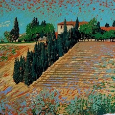 Serigrafia pino cappugi usato  San Pier Niceto