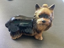yorkshire terrier yorkie for sale yorkshire terrier yorkie for sale ABERDEEN