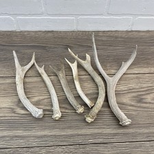 Lot weathered small for sale  Monroe