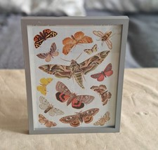 Framed genuine vintage for sale Framed genuine vintage for sale  OLDHAM