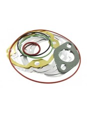 Set guarnizioni malossi usato  Clusone