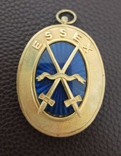 Masonic collar jewel for sale  SHOREHAM-BY-SEA