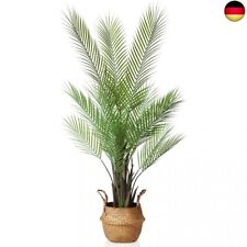 Kazeila künstliche pflanzen gebraucht kaufen  Berlin