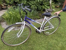 Raleigh pioneer speed for sale  SWANSEA
