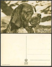 Old real photo for sale  UK