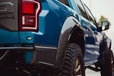 Ford raptor fender for sale  USA