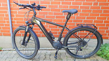Pedelec cannondale tesoro gebraucht kaufen  Holzwickede