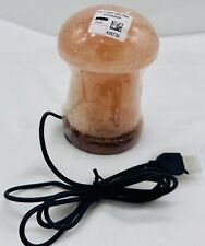 Himalayan salt usb for sale  Blue Springs