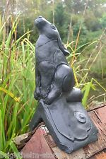 Black celtic moon for sale  HORSHAM