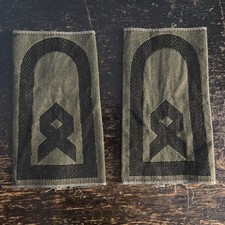 Hauptfeldwebel dienstgradabzei gebraucht kaufen  Nienburg