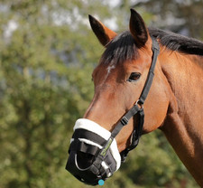 Shires 495nf freegraze for sale  BUCKINGHAM
